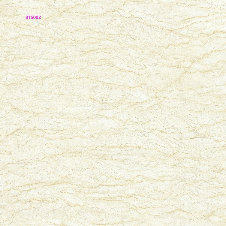 8TS002