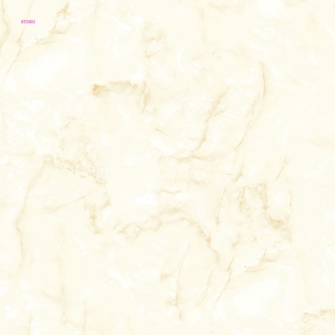 8TS005