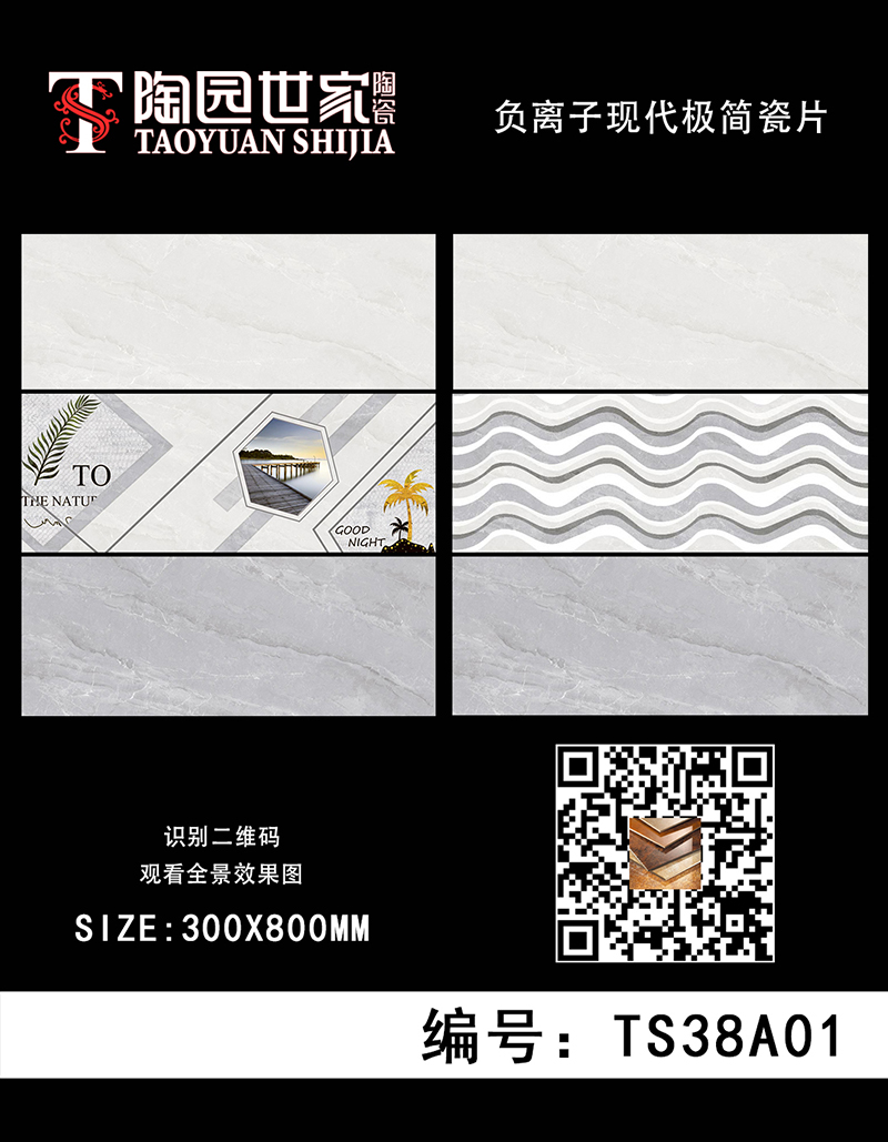 TS38A01